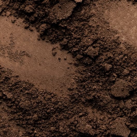 Bronzed Babes Club at The Skin Bar in LeRoy, KS